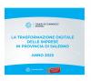 La trasformazione digitale delle imprese in provincia di Salerno - Anno 2023