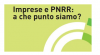 PNRR, sistema camerale e imprese